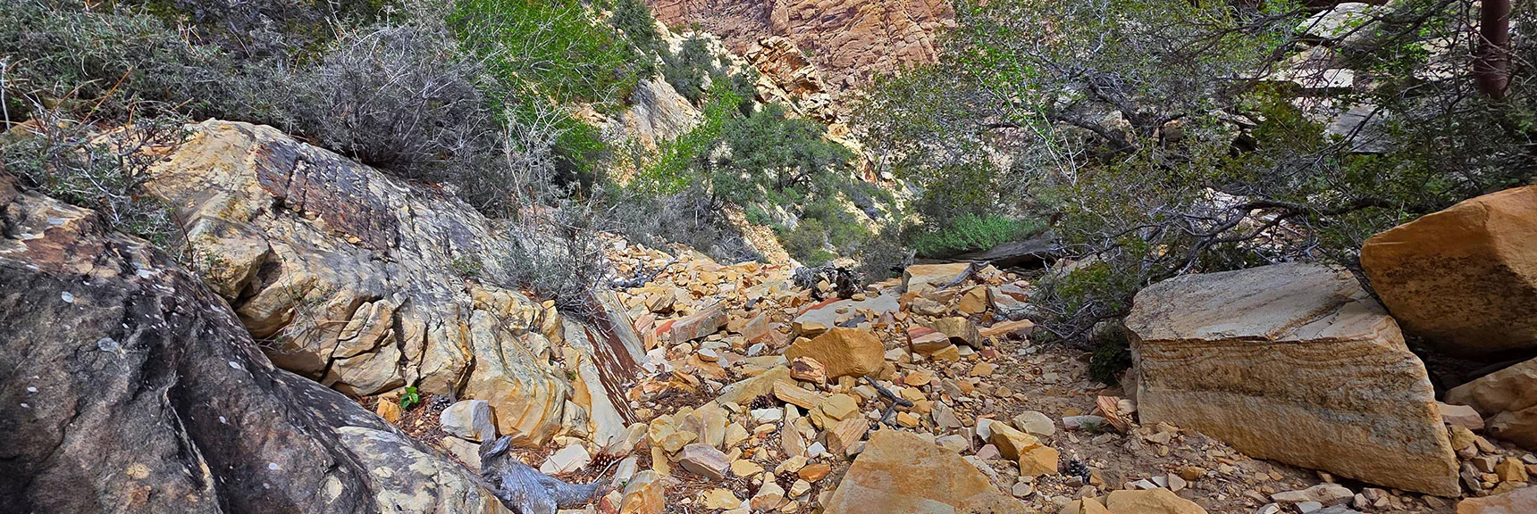 View Back Down This Steep Slope | Monument Peak Summit | Rainbow Mountain Wilderness, Nevada