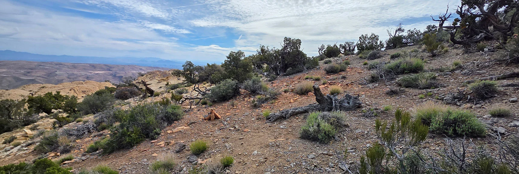 Cairn Marks Right Split Off Trail to Hidden & Monument Peaks | Monument Peak Summit | Rainbow Mountain Wilderness, Nevada