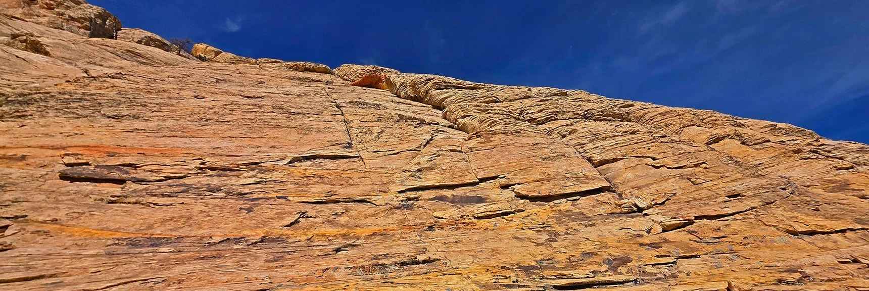 View Back Up Second Slope. Crack and Beehive Formation Helped. | Monument Peak Summit | Rainbow Mountain Wilderness, Nevada