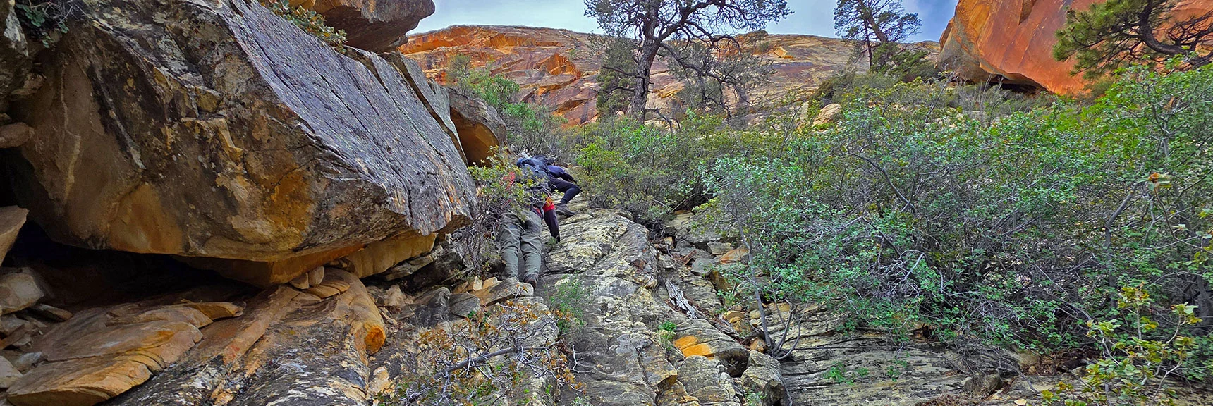 Just Enough Hand & Foot Holds to Ascend This Steep Slick Channel! | Monument Peak Summit | Rainbow Mountain Wilderness, Nevada