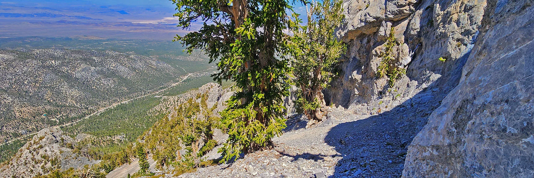 Higher View Down Along Summit Cliff Base Toward Lee Canyon. | Mummy's Nose Final Summit Approach from Deer Creek Road | Mt. Charleston Wilderness, Nevada