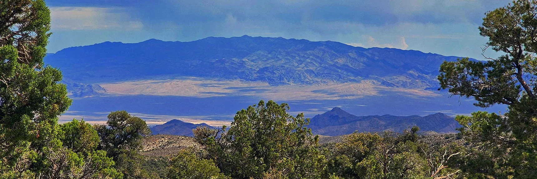 Sheep Range Ahead. Note the Stark Desert Landscape at its Base. | Deer Creek Catch Pen West | Mt. Charleston Wilderness | Lee Canyon, Nevada