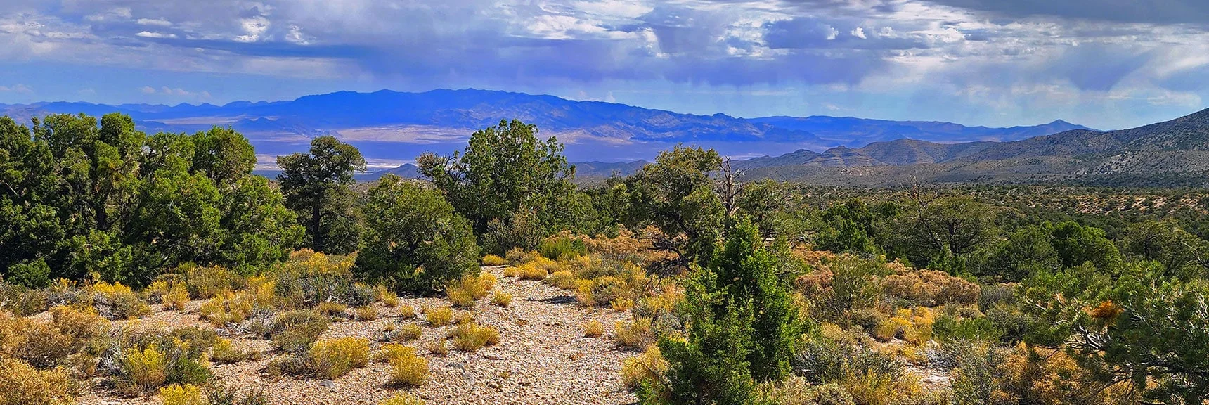 Wider View of the Sheep Range. Gass Peak to the Right. Clouds Releasing Moisture. | Deer Creek Catch Pen West | Mt. Charleston Wilderness | Lee Canyon, Nevada