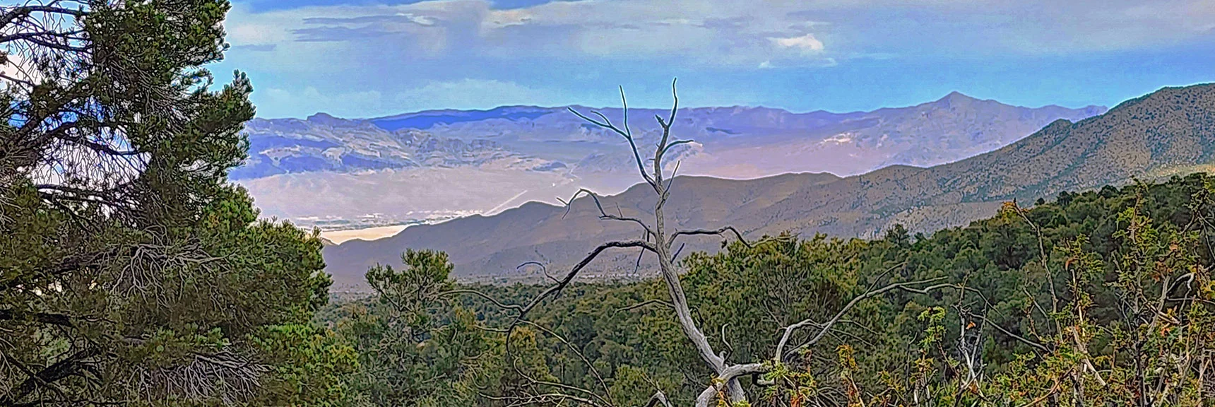 Angel Peak's Lower Ridgeline with Gass Peak Background. | Deer Creek Catch Pen West | Mt. Charleston Wilderness | Lee Canyon, Nevada
