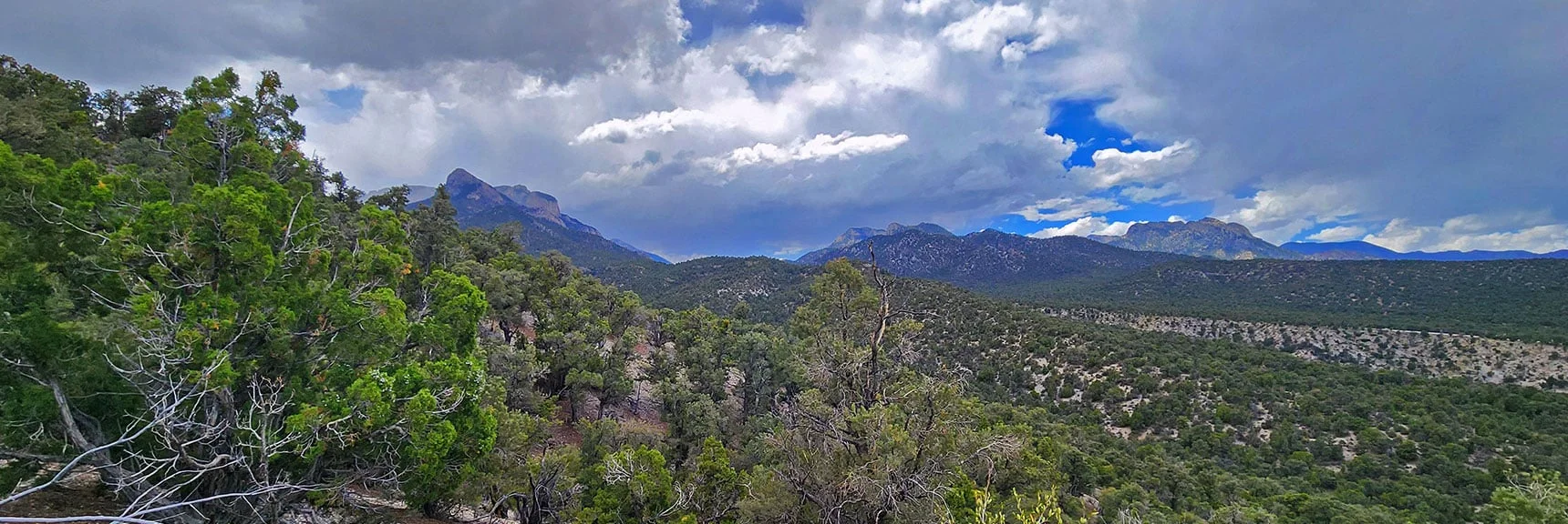 All Trails Gave Out. Now Crossing Ridges & Gullies Toward Mummy's Nose (left). | Deer Creek Catch Pen West | Mt. Charleston Wilderness | Lee Canyon, Nevada