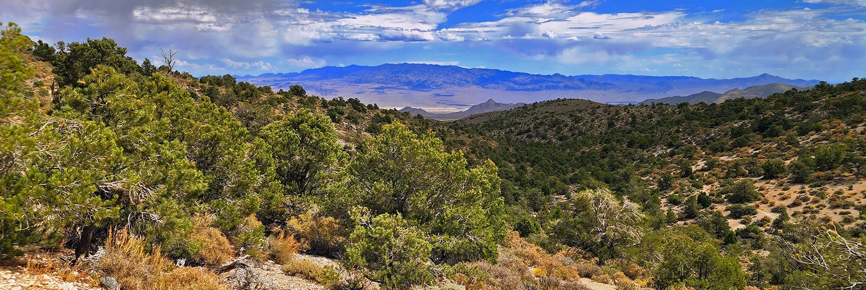 Distant Sheep Range (left) and Gass Peak (right). | Deer Creek Catch Pen West | Mt. Charleston Wilderness | Lee Canyon, Nevada