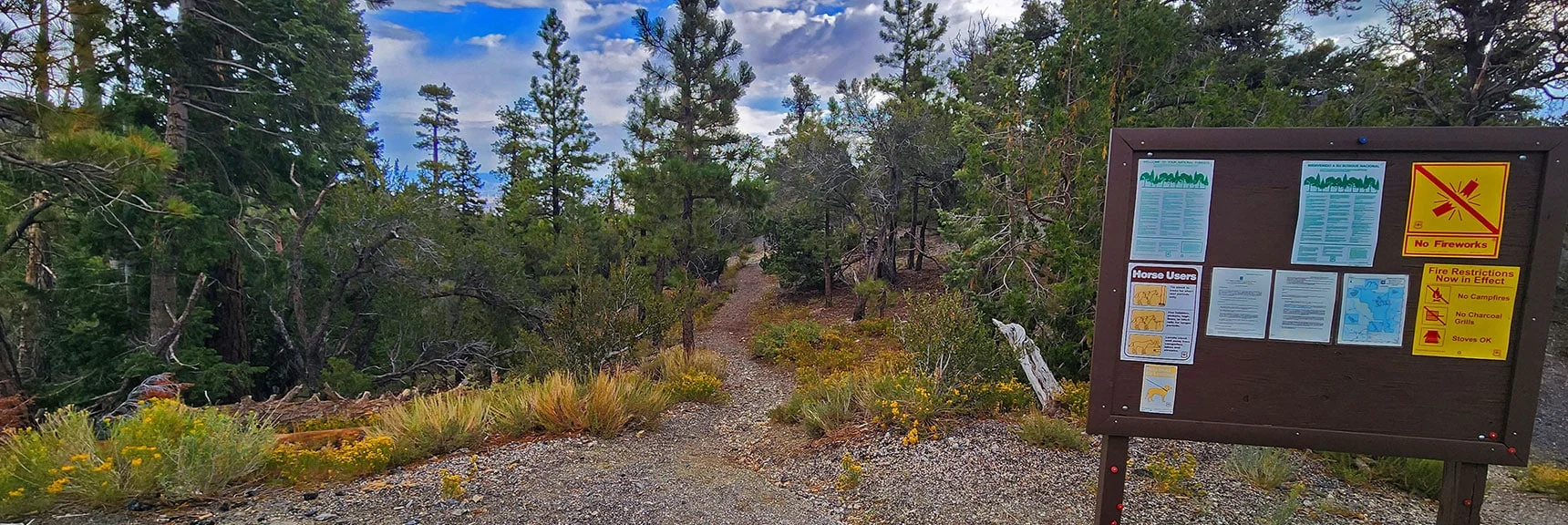 Catch Pen is a Loop Trail. Here is the Counterclockwise Loop Entrance. | Deer Creek Catch Pen West | Mt. Charleston Wilderness | Lee Canyon, Nevada