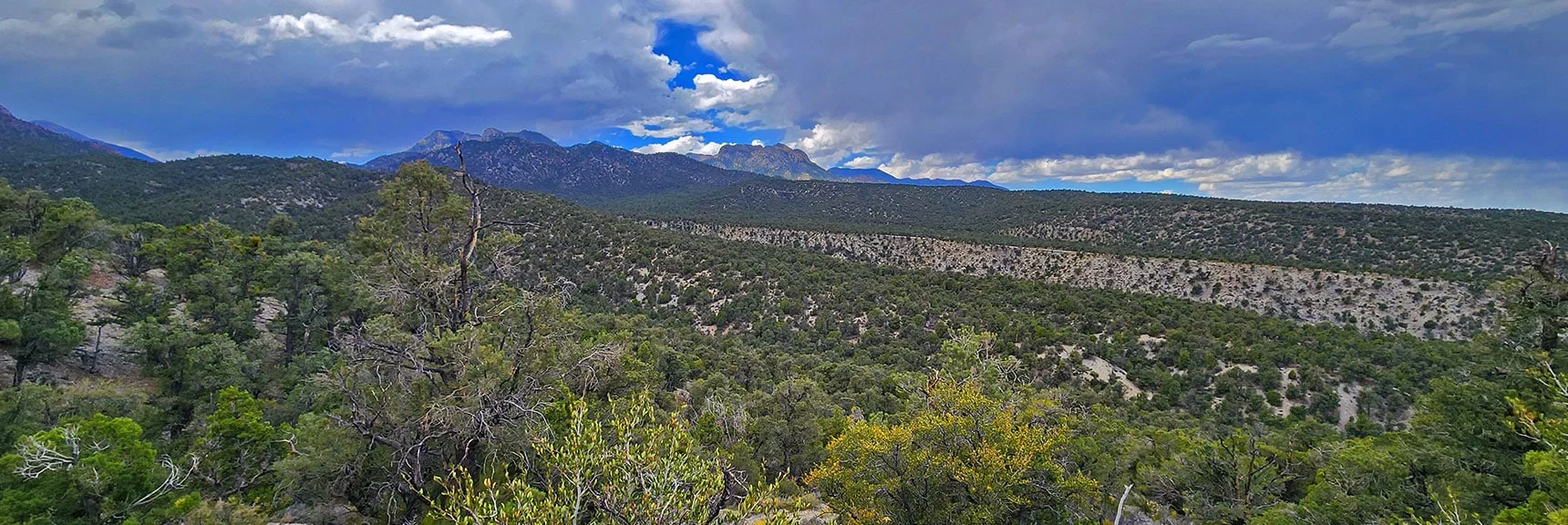 View Across Lower Lee Canyon Toward Sisters, McFarland, Macks & Bonanza Peaks. | Deer Creek Catch Pen West | Mt. Charleston Wilderness | Lee Canyon, Nevada