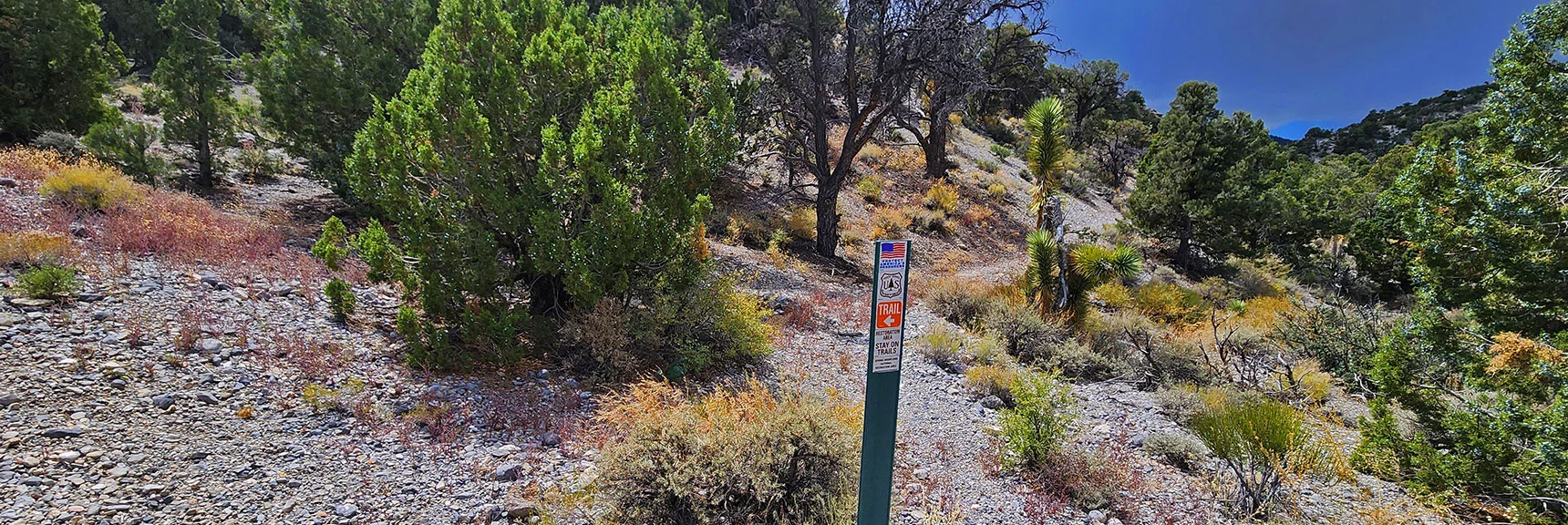 This Side Trail Helped Navigate Along the Wash. But it Often Disappeared! | Deer Creek Catch Pen West | Mt. Charleston Wilderness | Lee Canyon, Nevada