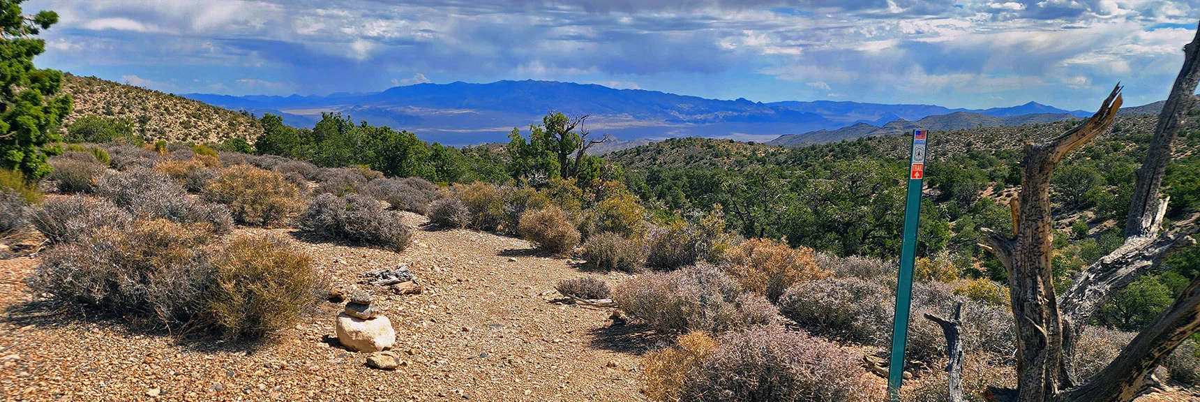 Instead, We Continue to Descend Toward the Blue Tree Loop at Lee Canyon Rd. | Deer Creek Catch Pen West | Mt. Charleston Wilderness | Lee Canyon, Nevada