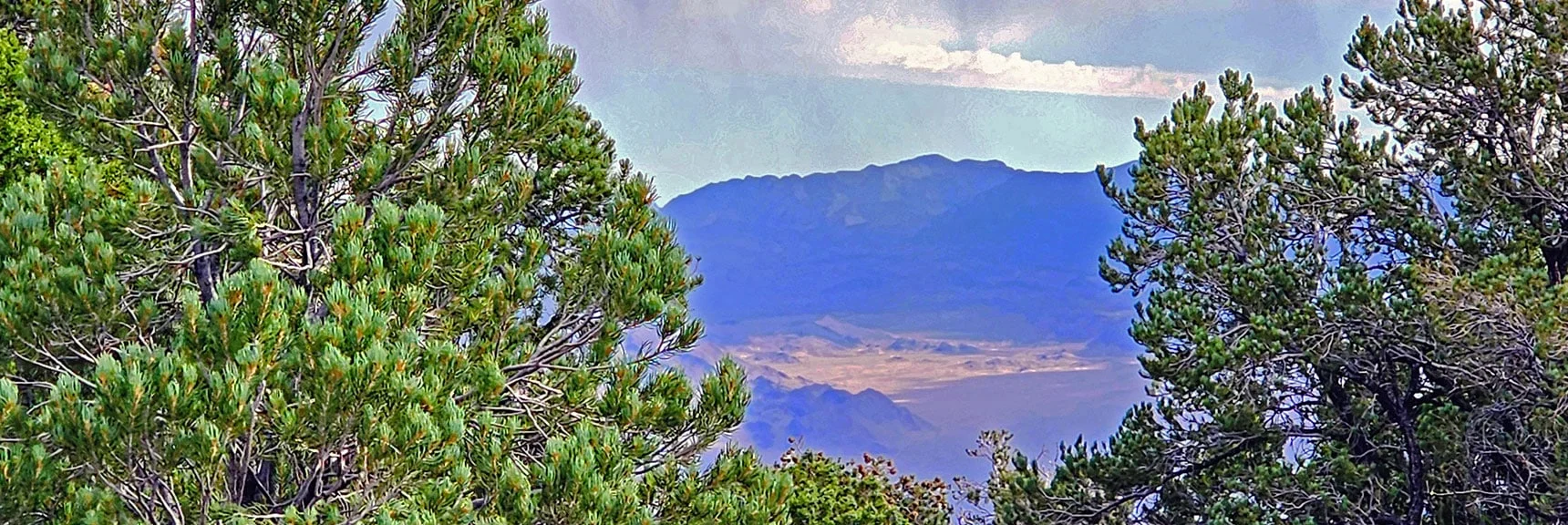 The Sheep Range Ahead Marks the Forward Direction. | Deer Creek Catch Pen West | Mt. Charleston Wilderness | Lee Canyon, Nevada