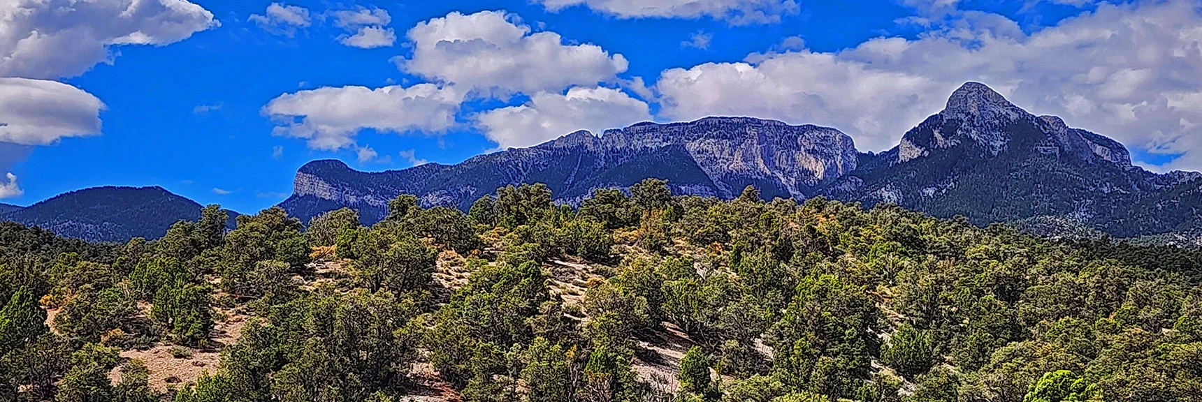 View Back to Mummy Mountain Cloaked with Alpine Bristlecone Pine Forests. | Deer Creek Catch Pen West | Mt. Charleston Wilderness | Lee Canyon, Nevada