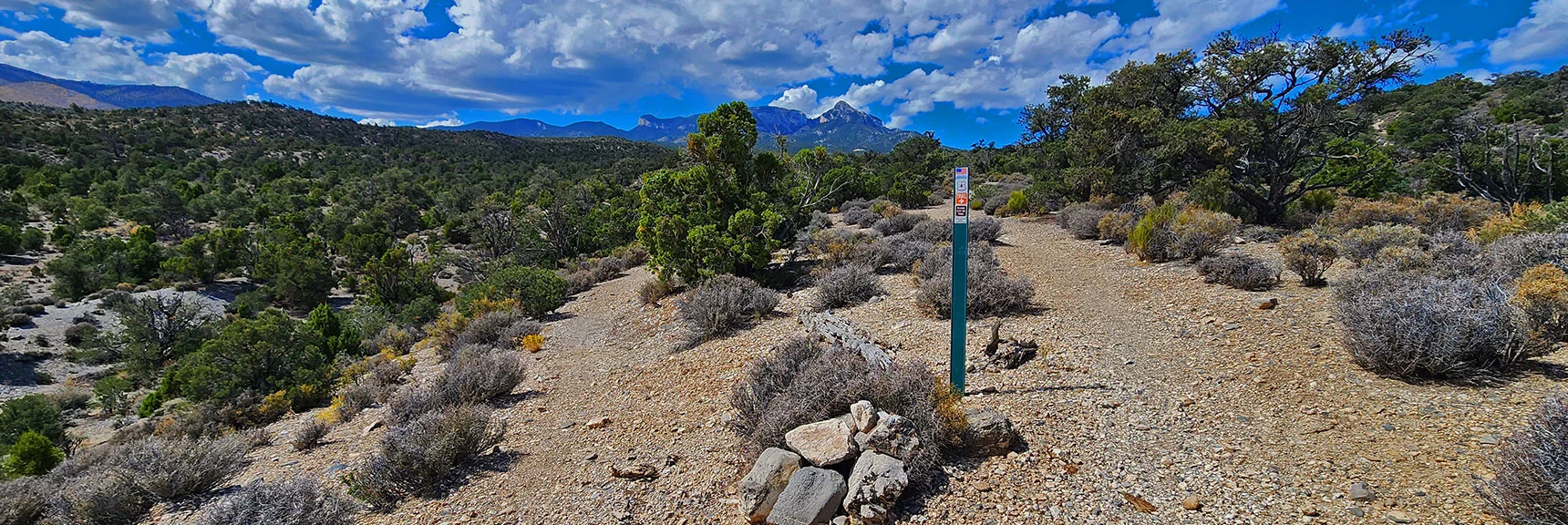 This U-Turn Would Have Rounded the Loop Back to Deer Creek Rd. Trailhead. | Deer Creek Catch Pen West | Mt. Charleston Wilderness | Lee Canyon, Nevada