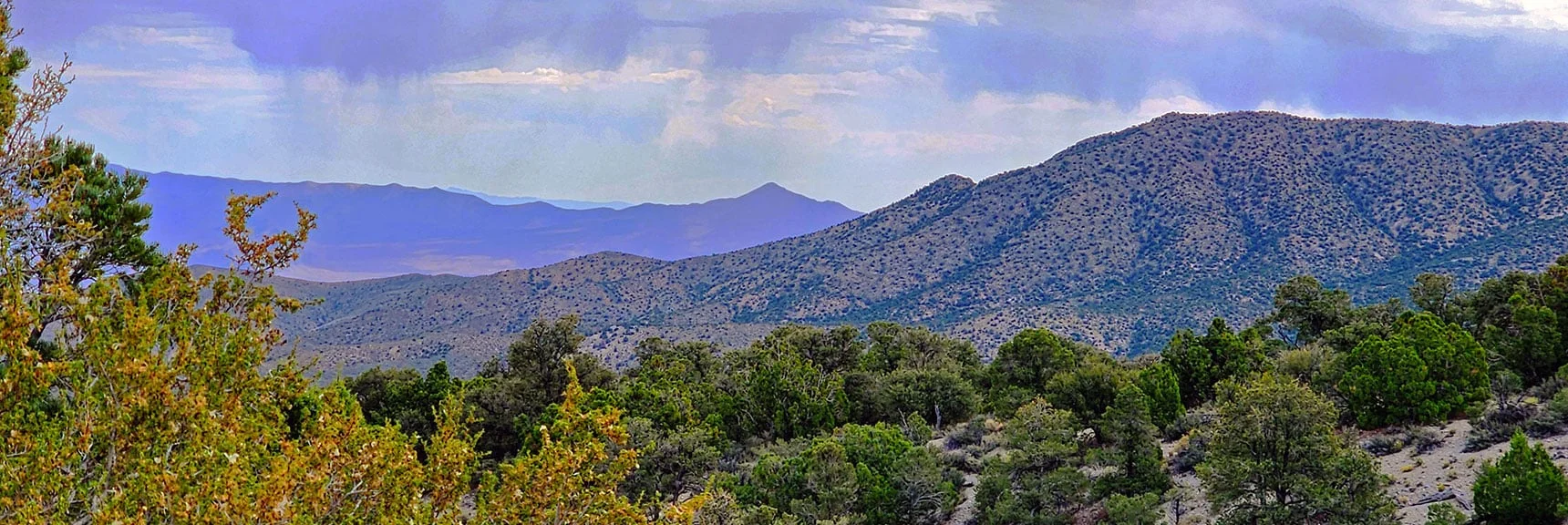 Lower Angel Peak Ridgeline. Pointy Gass Peak in Distance. Clouds Releasing Rain. | Deer Creek Catch Pen West | Mt. Charleston Wilderness | Lee Canyon, Nevada