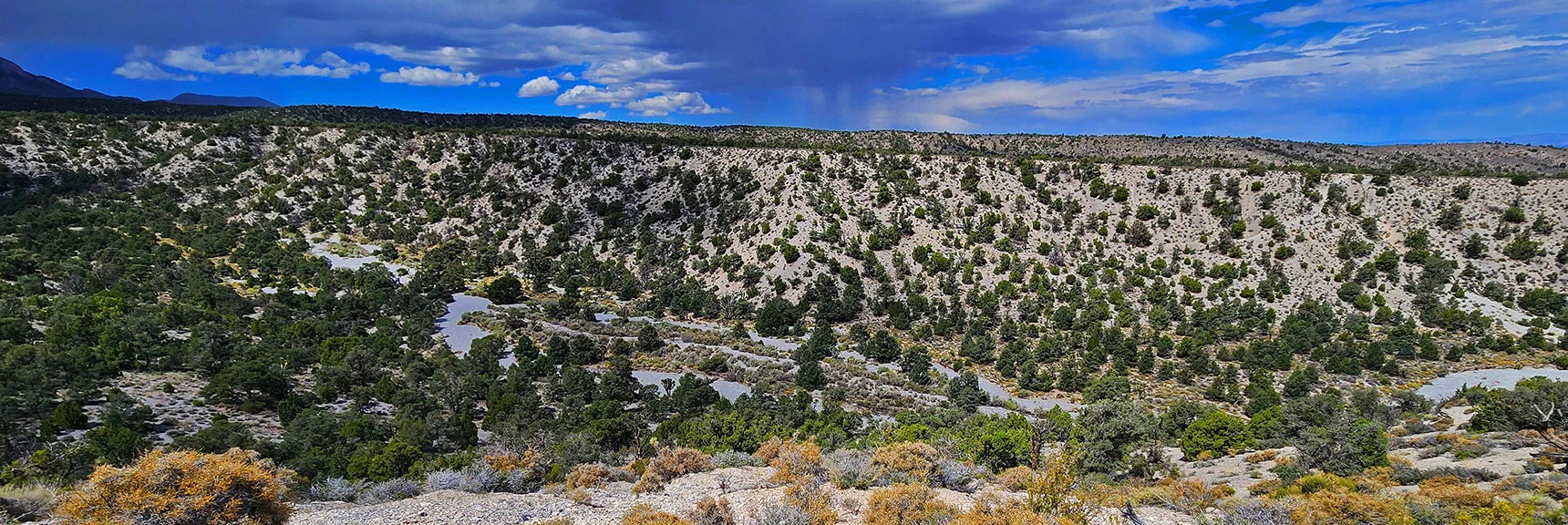 Lee Canyon Narrows Below (main wash). Lee Canyon Road Above Opposite Ridgeline. | Deer Creek Catch Pen West | Mt. Charleston Wilderness | Lee Canyon, Nevada