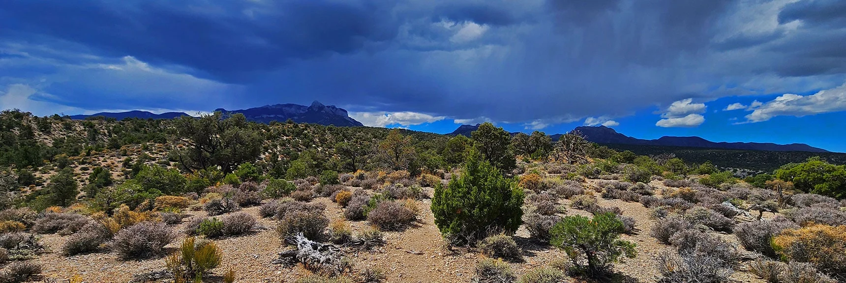 View Back to Mummy Mt. On Return Aim for Nose at Right End. Sounds of Thunder! | Deer Creek Catch Pen West | Mt. Charleston Wilderness | Lee Canyon, Nevada