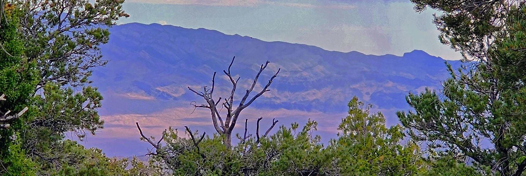 Sheep Range Ahead. Today We're Surrounded by Thunderstorms. | Deer Creek Catch Pen West | Mt. Charleston Wilderness | Lee Canyon, Nevada