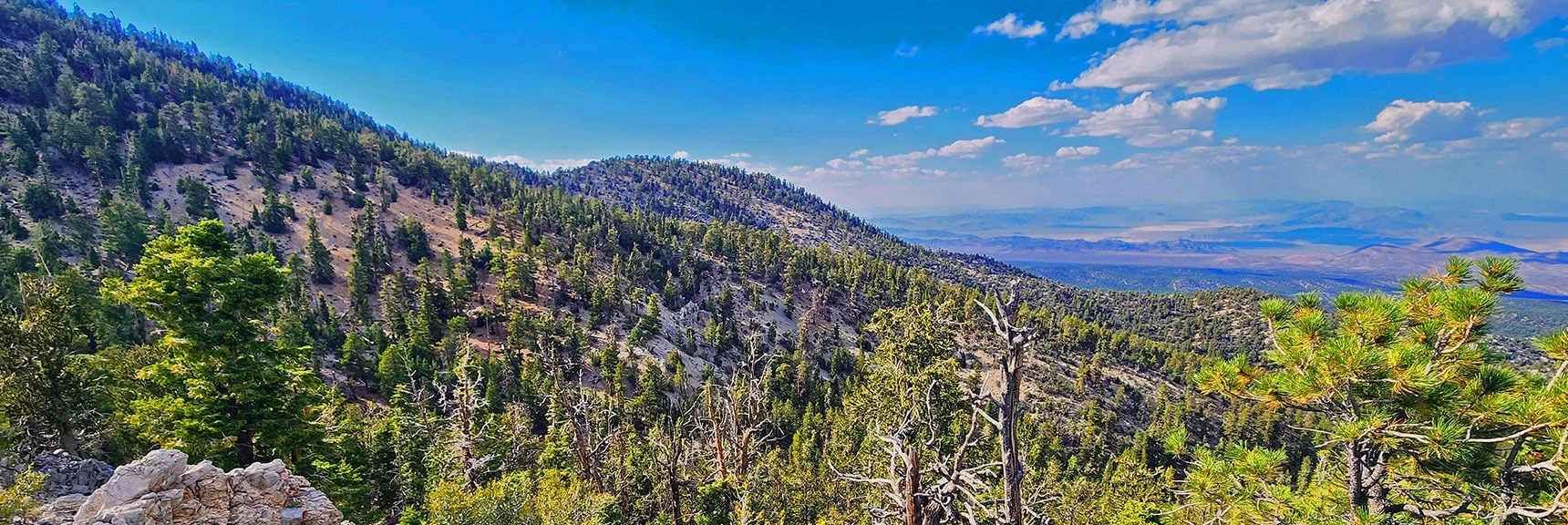 Seven-Mile Canyon's Mid-Ridge & Western Ridge in View | Mummy's Nose East Cliff Plane Crash Site | Mt Charleston Wilderness, Nevada