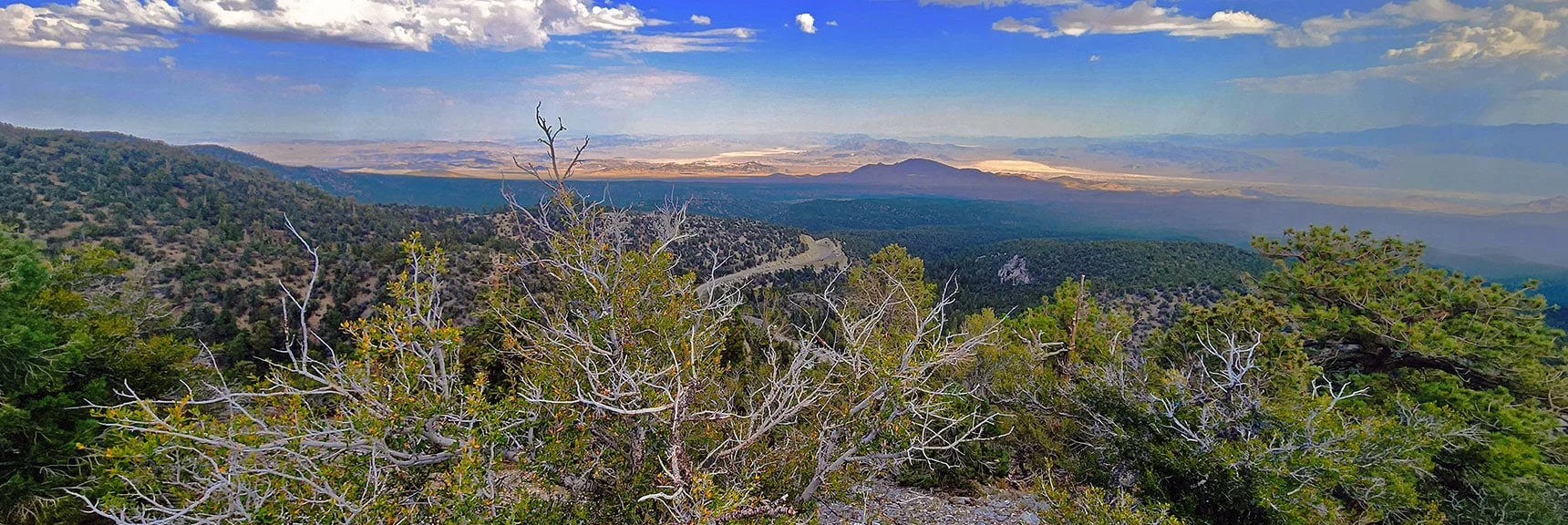 Within a Few Minutes, Rapid Ascent Opens Spectacular Views | Mummy's Nose East Cliff Plane Crash Site | Mt Charleston Wilderness, Nevada