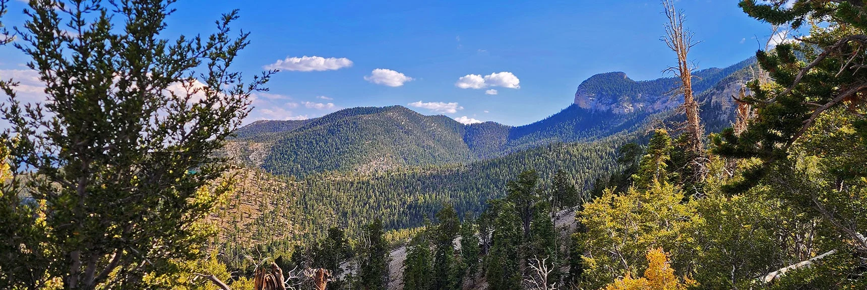 View Back to Mummy's Toe (right); Bristlecone Pine Ridge (Left) | Mummy's Nose East Cliff Plane Crash Site | Mt Charleston Wilderness, Nevada