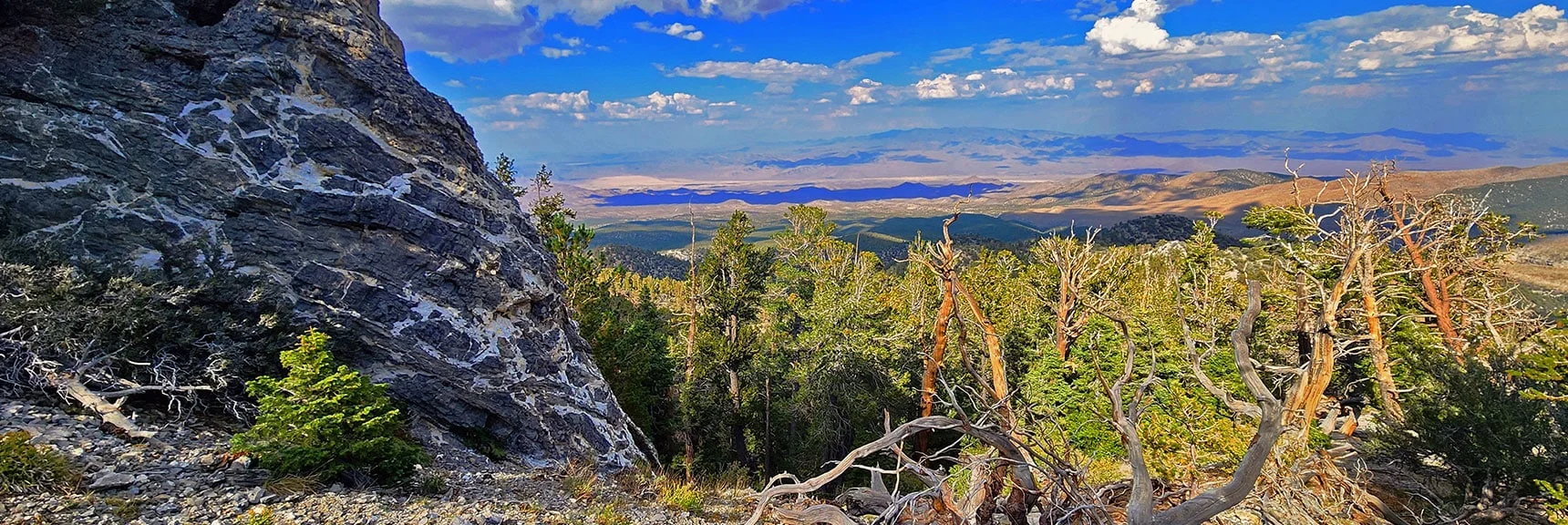 Reconnecting with Seven-Mile Canyon Eastern Ridge | Mummy's Nose East Cliff Plane Crash Site | Mt Charleston Wilderness, Nevada