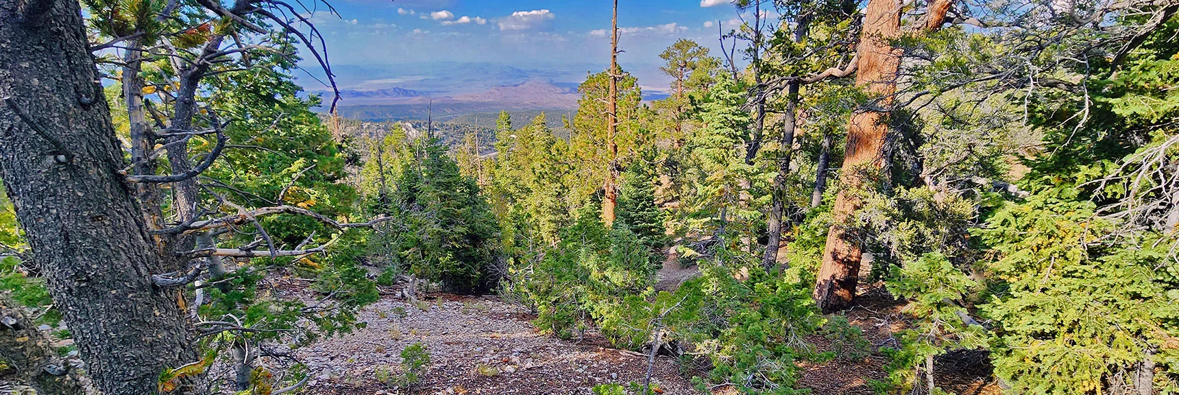 Entering Awesome Gradual Descent Gully Between the 2 High Points | Mummy's Nose East Cliff Plane Crash Site | Mt Charleston Wilderness, Nevada