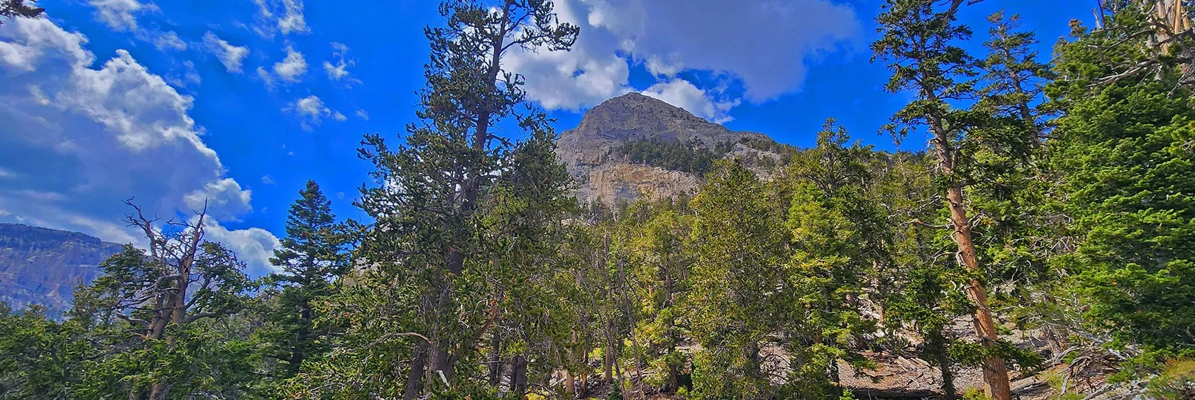 Stay High on Ridge But Watch for Point to Angle Around Cliffs Ahead | Mummy's Nose East Cliff Plane Crash Site | Mt Charleston Wilderness, Nevada