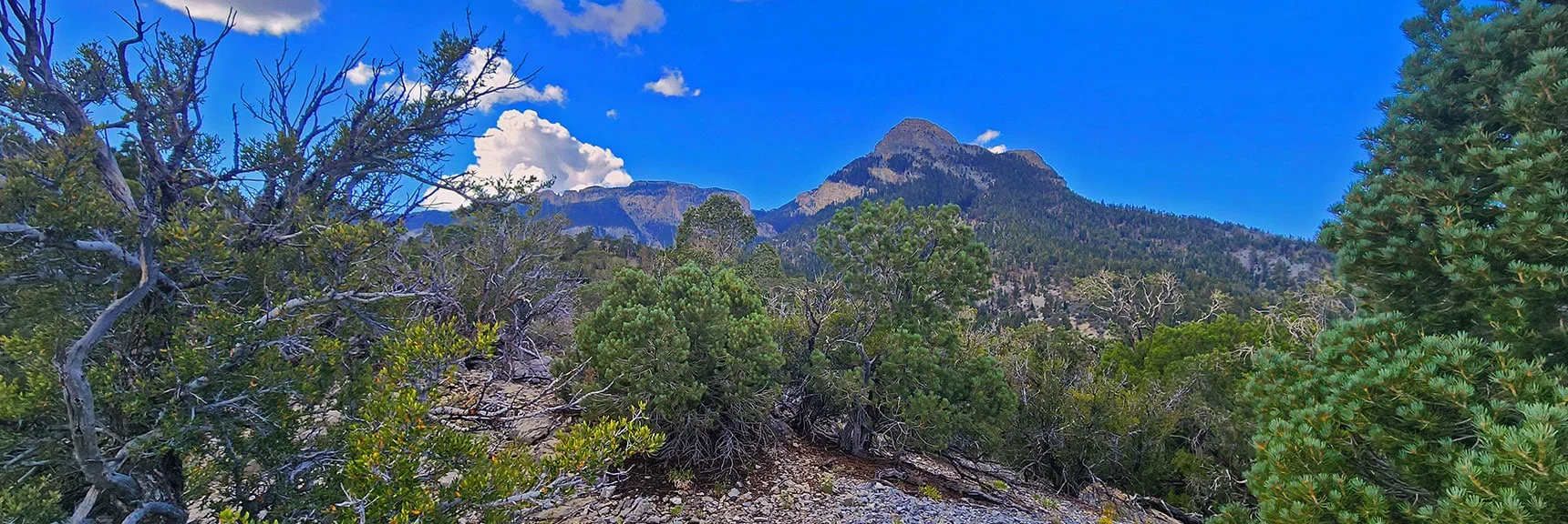 Eastern Ridge Toward Mummy's Nose Ahead. | Mummy's Nose East Cliff Plane Crash Site | Mt Charleston Wilderness, Nevada