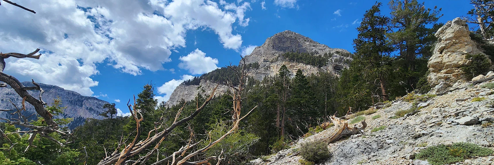 Closing in on Mummy's Nose, Now in Bristlecone Pine Zone 9,000+ Feet | Mummy's Nose East Cliff Plane Crash Site | Mt Charleston Wilderness, Nevada
