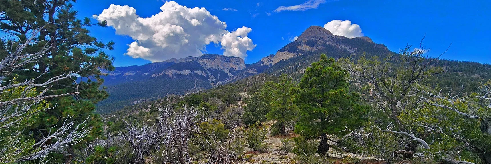 Will Traverse This Ridgeline Open Terrain Toward Left (East) Side of Mummy's Nose | Mummy's Nose East Cliff Plane Crash Site | Mt Charleston Wilderness, Nevada