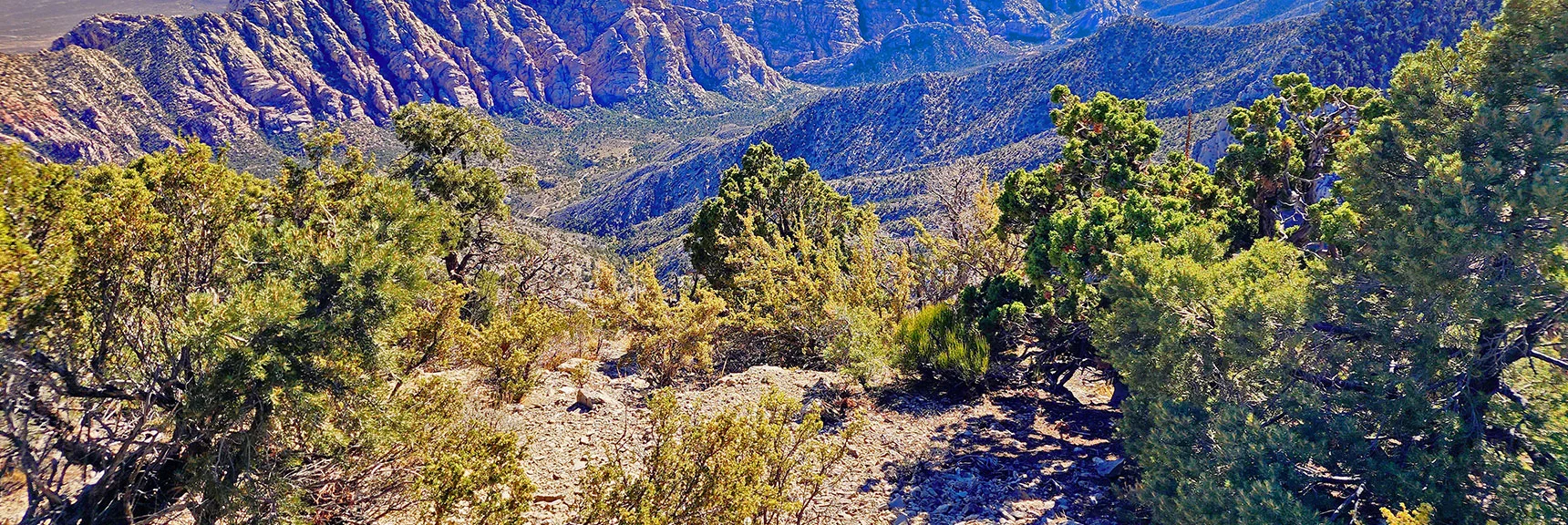 Descending Ridgeline Toward La Madre Springs. | La Madre Ridgeline Grand Crossing | La Madre Mountains Wilderness and Red Rock Canyon NCA, Nevada