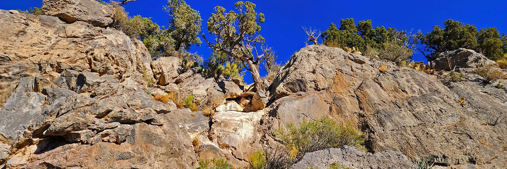 View Back Up Mid-Descent Rock Scramble Ledge. | La Madre Ridgeline Grand Crossing | La Madre Mountains Wilderness and Red Rock Canyon NCA, Nevada