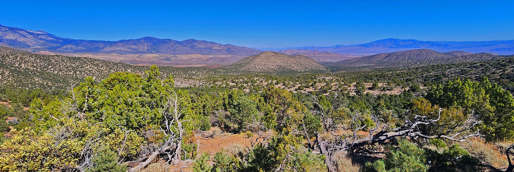 View Back: Approach Valley Runs Through Hills Facing Sheep Range | La Madre Ridgeline Grand Crossing | La Madre Mountains Wilderness and Red Rock Canyon NCA, Nevada