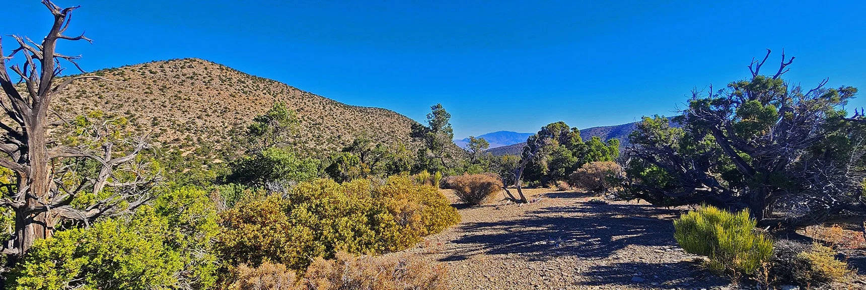 View Down Approach Valley Wash Back Toward the Low Hill Just Skirted. | La Madre Ridgeline Grand Crossing | La Madre Mountains Wilderness and Red Rock Canyon NCA, Nevada