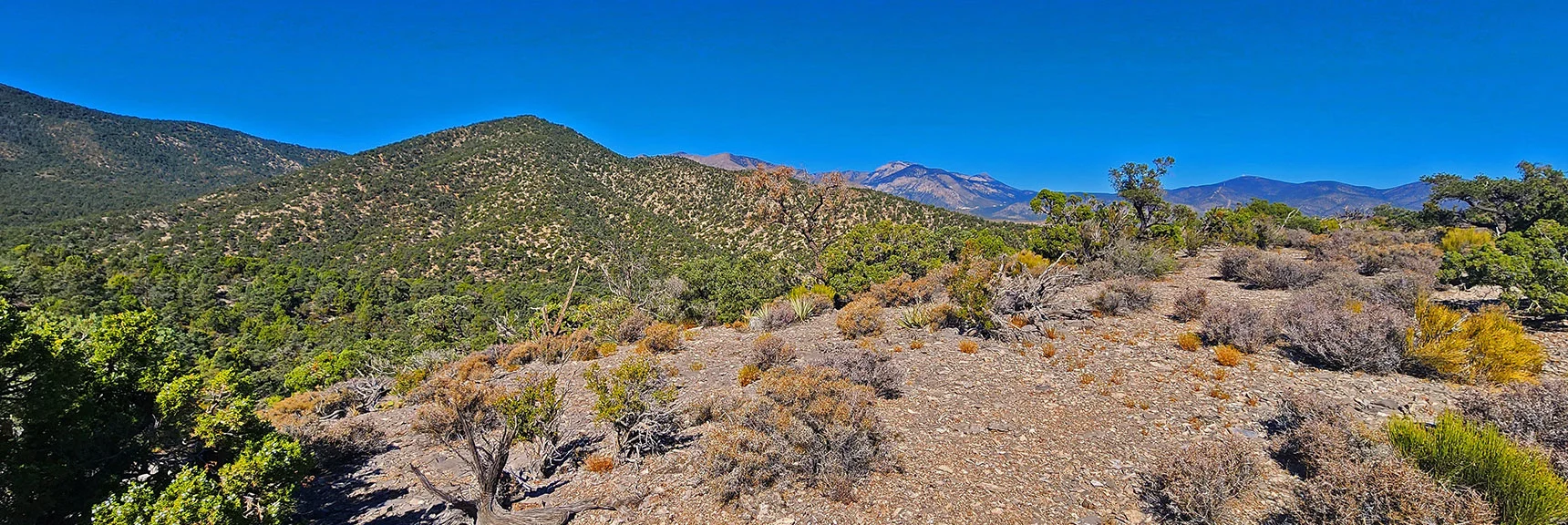 View Back Toward Charleston Wilderness from Approach Ridge | La Madre Ridgeline Grand Crossing | La Madre Mountains Wilderness and Red Rock Canyon NCA, Nevada