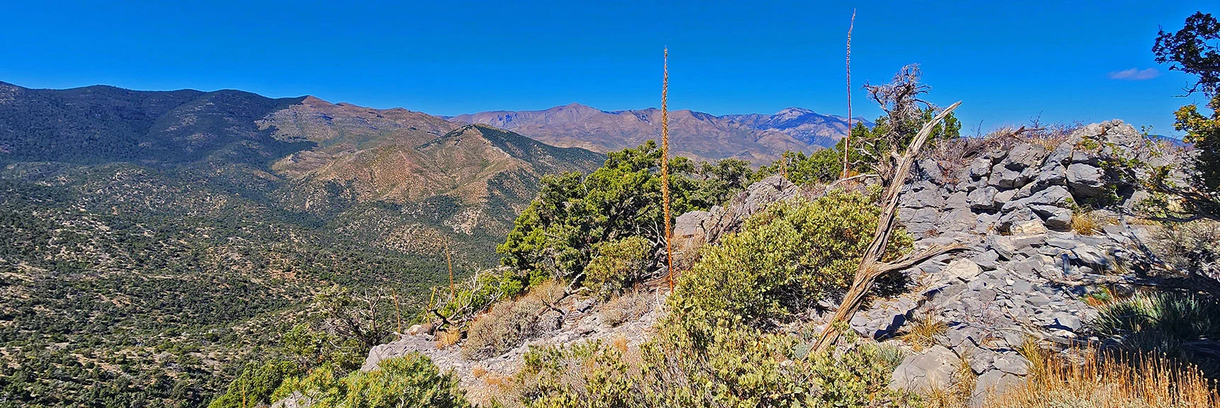 Griffith Peak & Harris Mt. Just to Right of Wilson Ridge. | La Madre Ridgeline Grand Crossing | La Madre Mountains Wilderness and Red Rock Canyon NCA, Nevada
