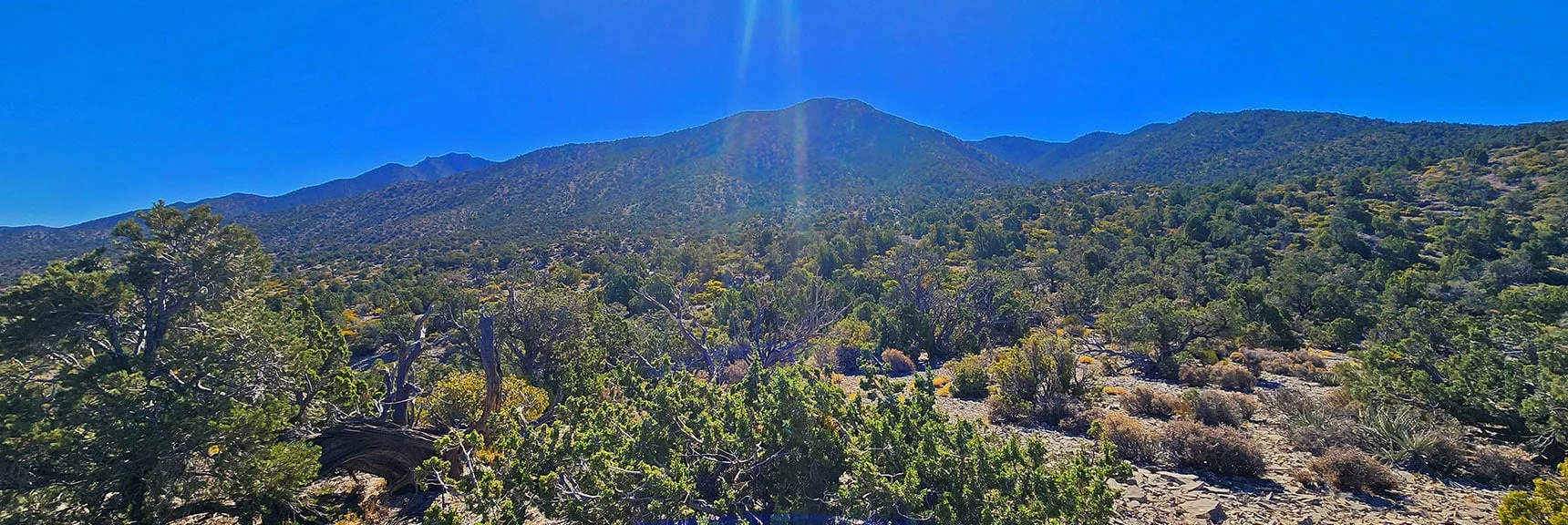 View Up Approach Ridge That Summits to Right of El Bastardo High Point | La Madre Ridgeline Grand Crossing | La Madre Mountains Wilderness and Red Rock Canyon NCA, Nevada