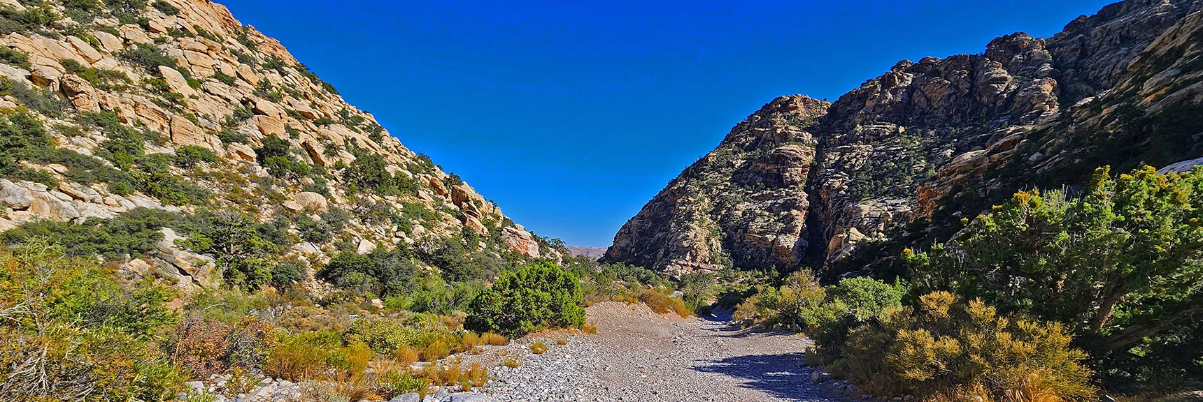Now on White Rock Mt. Loop Approaching Willow Springs Picnic Area. | La Madre Ridgeline Grand Crossing | La Madre Mountains Wilderness and Red Rock Canyon NCA, Nevada