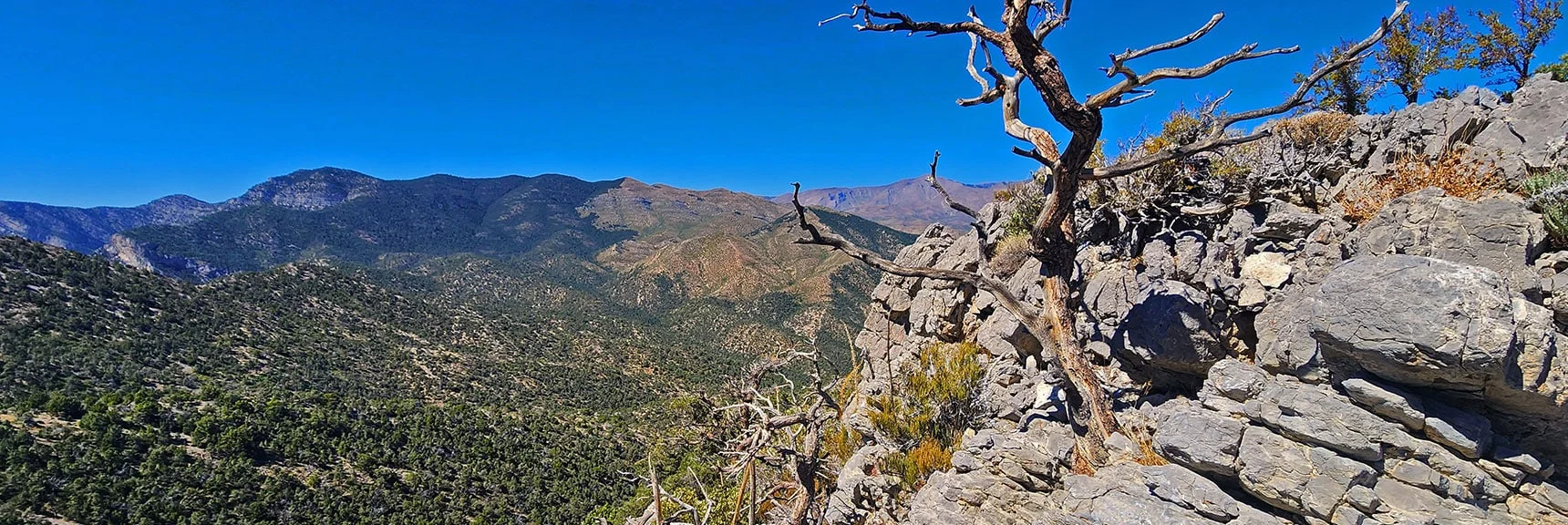 View Over to Where La Madre Ridgeline & Wilson Ridgeline Meet. | La Madre Ridgeline Grand Crossing | La Madre Mountains Wilderness and Red Rock Canyon NCA, Nevada