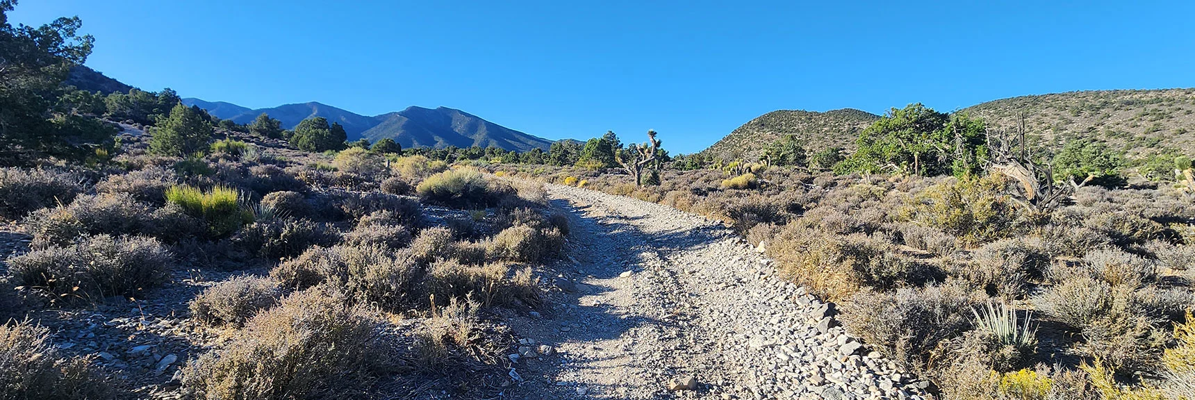 Departing into Wilderness Toward El Bastardo on La Madre Ridgeline | La Madre Ridgeline Grand Crossing | La Madre Mountains Wilderness and Red Rock Canyon NCA, Nevada