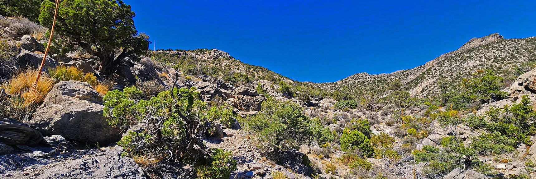 View Back Up Descent Path To La Madre Ridgeline Descent Point. | La Madre Ridgeline Grand Crossing | La Madre Mountains Wilderness and Red Rock Canyon NCA, Nevada