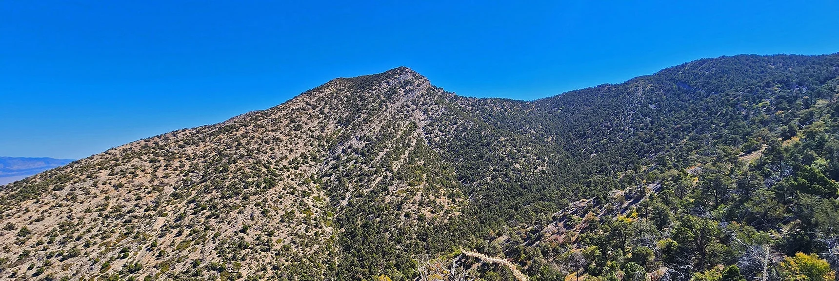 View Over to El Bastardo from Near Summit of Approach Ridgeline | La Madre Ridgeline Grand Crossing | La Madre Mountains Wilderness and Red Rock Canyon NCA, Nevada