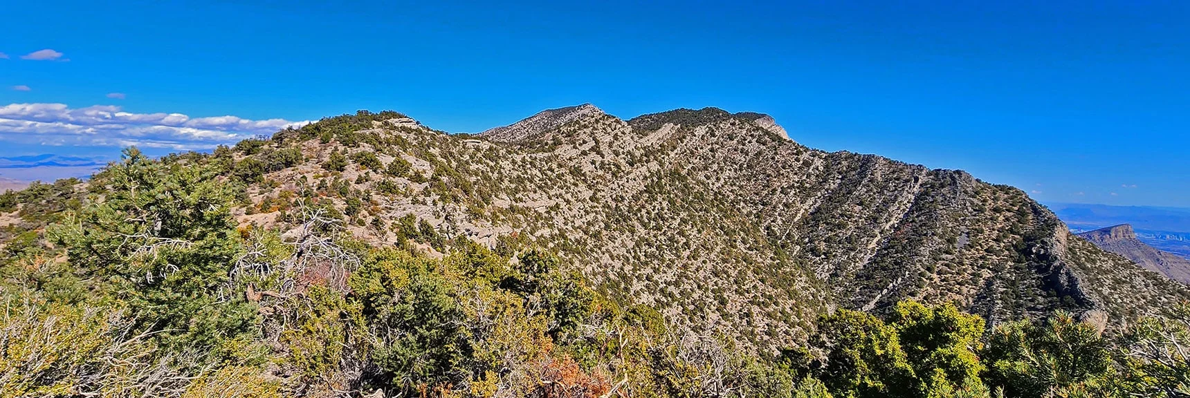 View Back up Ridgeline To El Bastardo Peak. | La Madre Ridgeline Grand Crossing | La Madre Mountains Wilderness and Red Rock Canyon NCA, Nevada