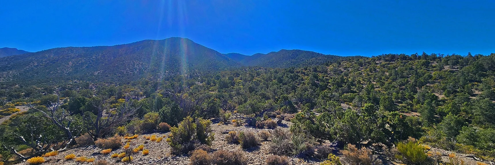 Closing on La Madre Ridgeline Approach Ridge to Right of El Bastardo. | La Madre Ridgeline Grand Crossing | La Madre Mountains Wilderness and Red Rock Canyon NCA, Nevada