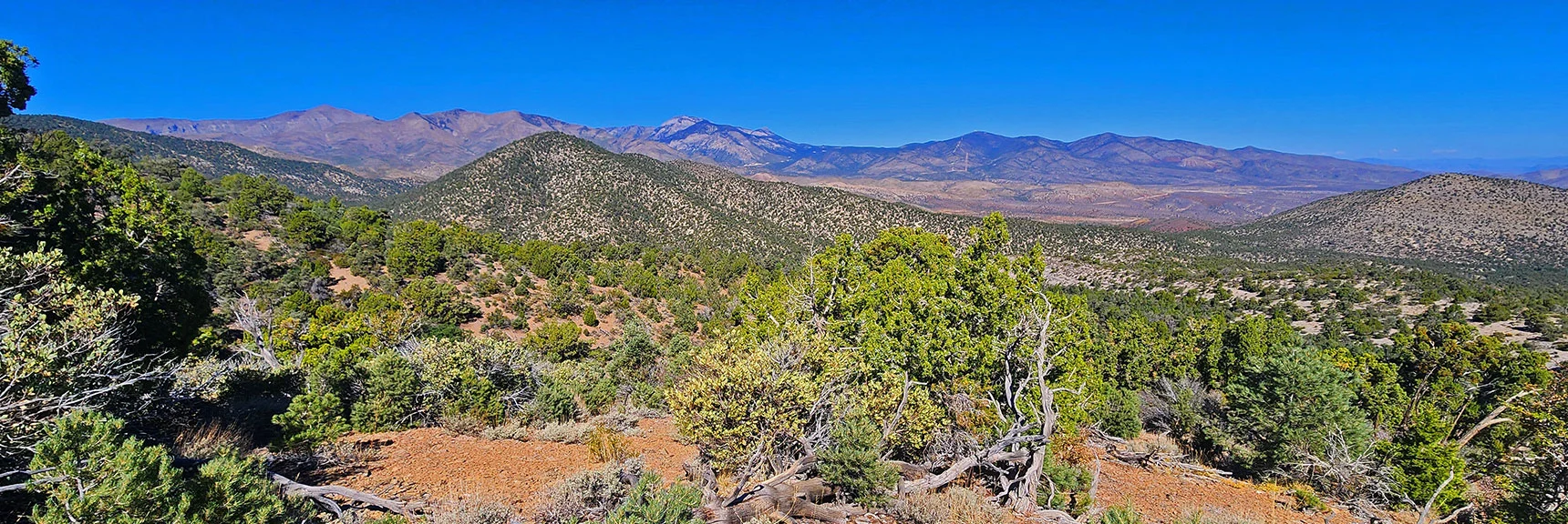 View Back Toward Charleston Wilderness from Griffith to Angel Peak | La Madre Ridgeline Grand Crossing | La Madre Mountains Wilderness and Red Rock Canyon NCA, Nevada