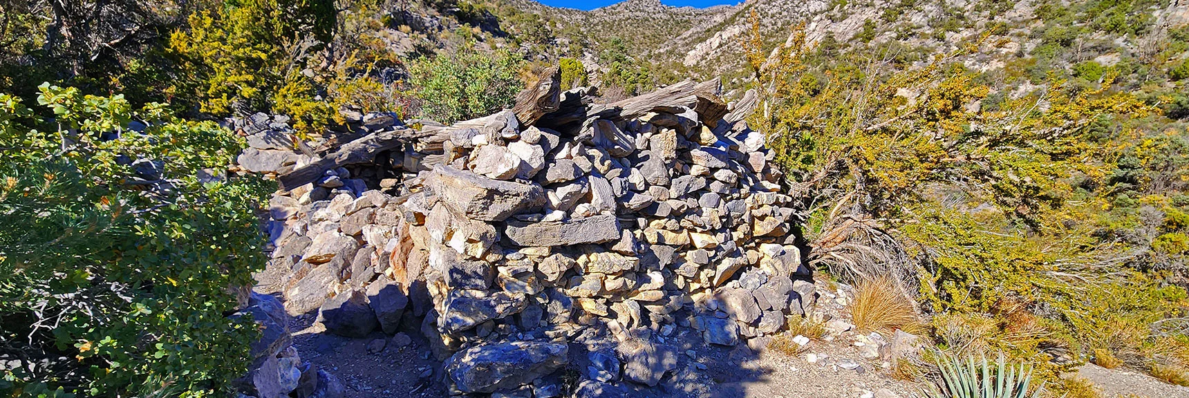 Miner's Cabin at Base of Descent Ridge. | La Madre Ridgeline Grand Crossing | La Madre Mountains Wilderness and Red Rock Canyon NCA, Nevada