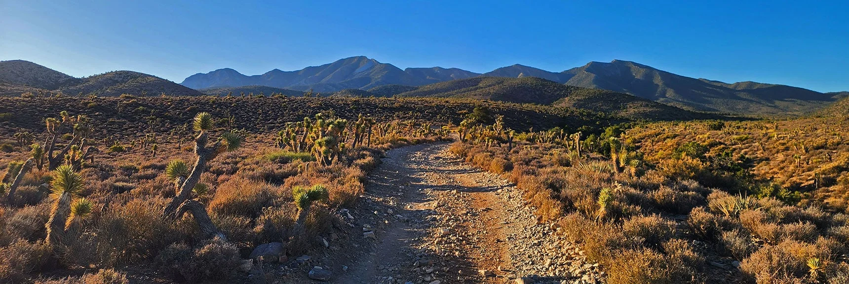 Note El Bastardo High Point to Right on La Madre Ridgeline | La Madre Ridgeline Grand Crossing | La Madre Mountains Wilderness and Red Rock Canyon NCA, Nevada