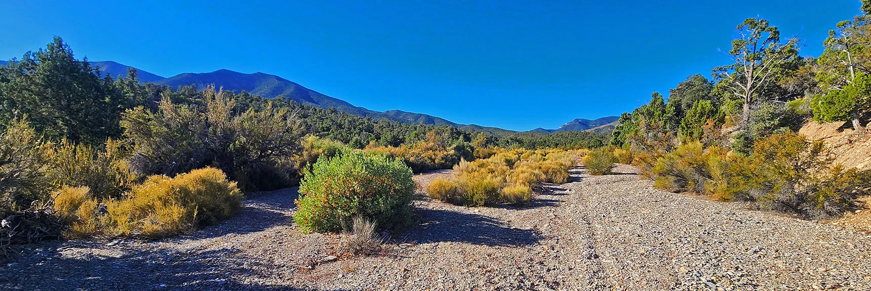 View Up Approach Valley Wash Toward Approach Ridge to Right of El Bastardo. | La Madre Ridgeline Grand Crossing | La Madre Mountains Wilderness and Red Rock Canyon NCA, Nevada