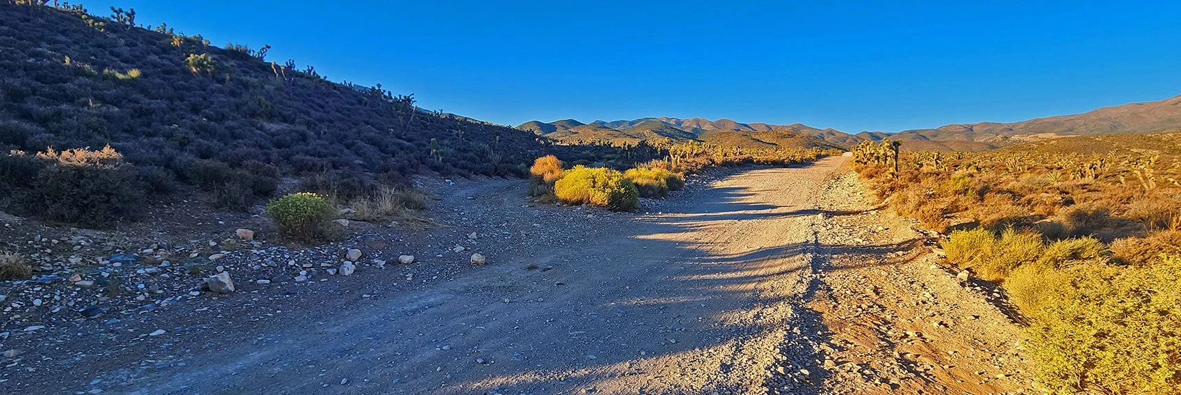 La Madre Wilderness Road Splits Off Left at 2 Miles Up Harris Springs Road | La Madre Ridgeline Grand Crossing | La Madre Mountains Wilderness and Red Rock Canyon NCA, Nevada