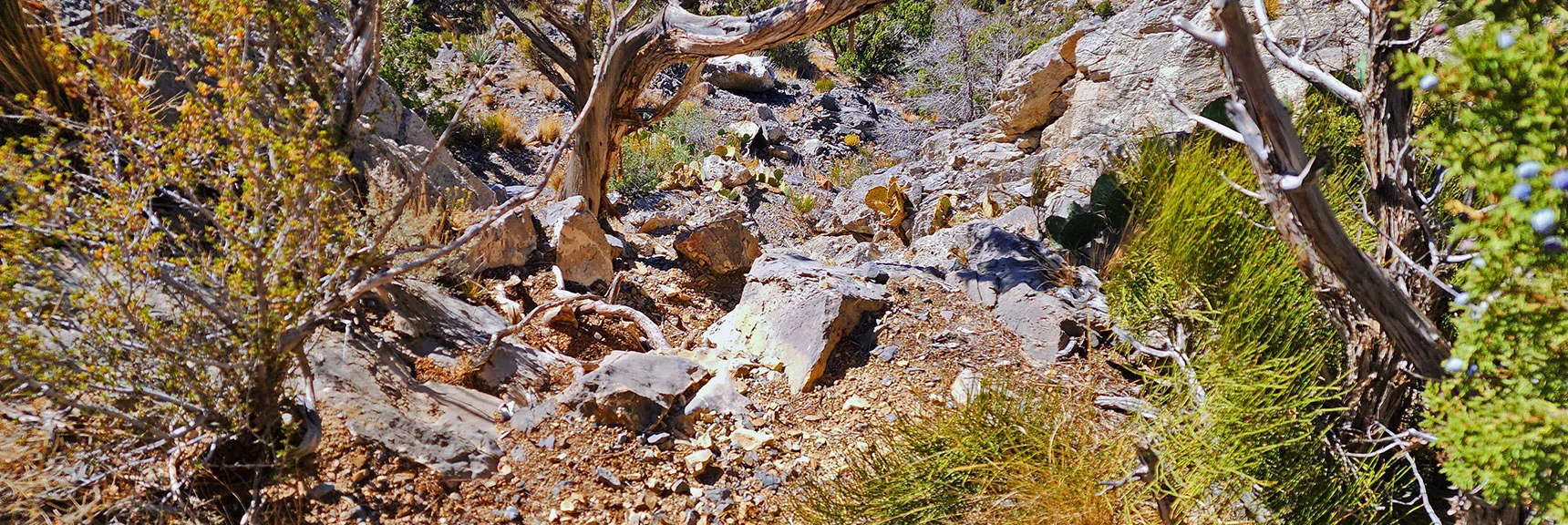 Mid-Descent Ridge Brief Class 3 Rock Scramble. | La Madre Ridgeline Grand Crossing | La Madre Mountains Wilderness and Red Rock Canyon NCA, Nevada